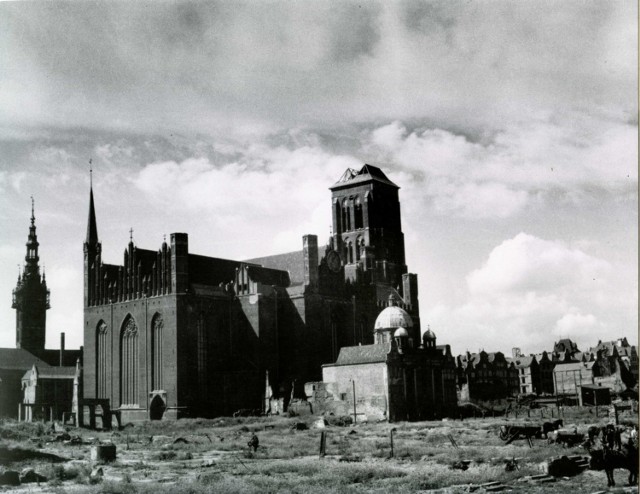 Kościół Mariacki, Kaplica Królewska i Ratusz Głównomiejski widziane od strony ulicy Szerokiej. Rok 1952