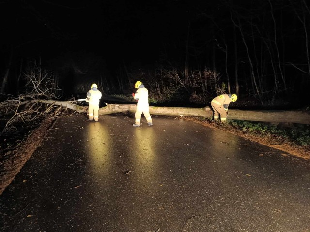 Zastęp GBRt MAN został wezwany do usunięcia powalonego na jezdnię drzewa, które blokowało drogę pomiędzy Zakrzewem, a Ponikwami (23.11).