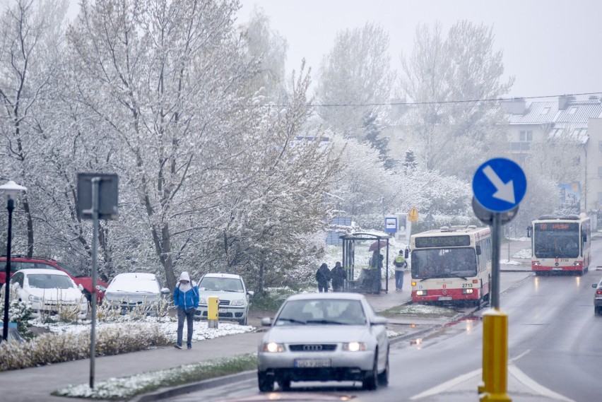 Majowe opady śniegu w Gdańsku