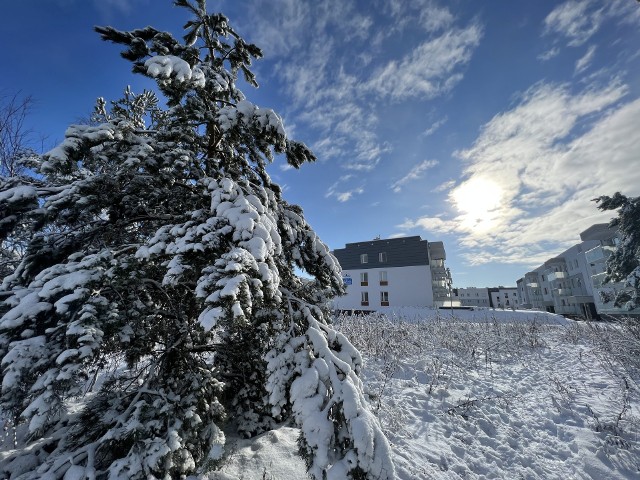 W piątek (03.02) na terenie Torunia spadło około 10 cm śniegu. To rekordowa ilość jak na tegoroczną zimę. Nie inaczej jest na osiedlu Jar. W pobliskim lesie śnieg sięga aż po kostki! Nie dziwi więc, że dzieci wraz z rodzicami korzystają z uroków pierwszej, prawdziwej zimy w tym roku. Oto zdjęcia jak z bajki!
