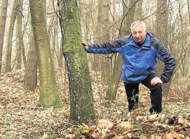 Janusz Czerwiński na prastarym cmentarzu w Puszczy Niepołomickiej.