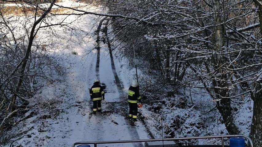 Powiat krakowski. Pierwsze zimowe interwencje. Strażacy usuwali gałęzie i złamany konar z drogi