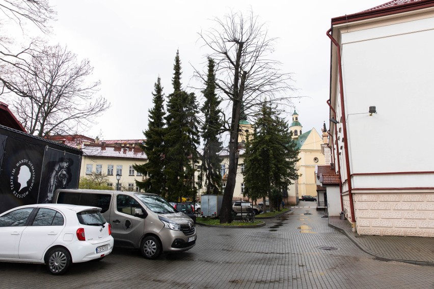 Teatr Siemaszkowej rozbuduje się bez szwanku dla pomnikowych drzew [ZDJĘCIA]