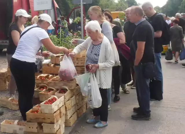 Na radomskim targowisku Korej chętnych na truskawki nie brakowało. Zobacz zdjęcia >>>