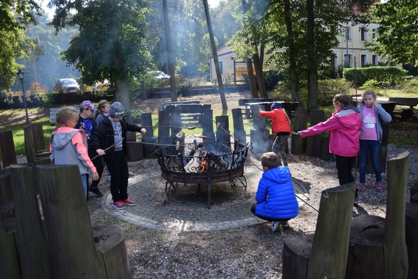 Sprzątanie świata 2019. Dzieci uporządkowały tereny leśne niedaleko Nadleśnictwa Włocławek [zdjęcia]