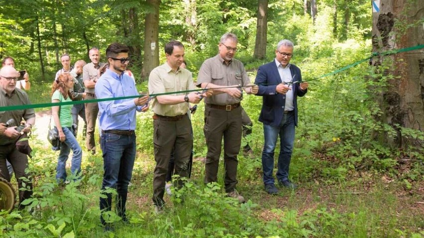 W Nadleśnictwie Olkusz 9 czerwca 2021 oficjalnie otwarto...