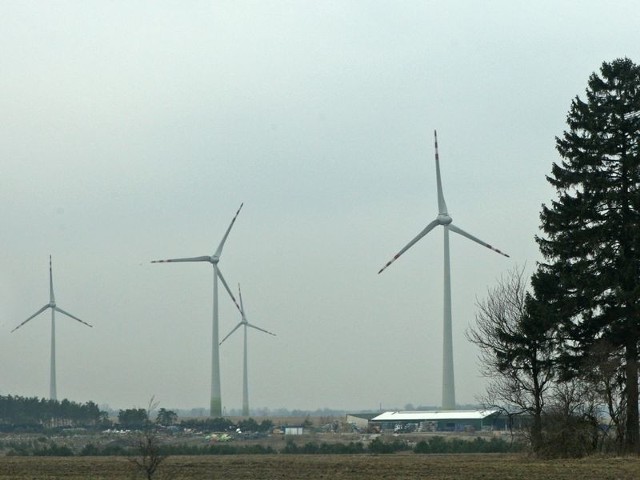 Wokół Słupska powstaje coraz więcej siłowni wiatrowych. 