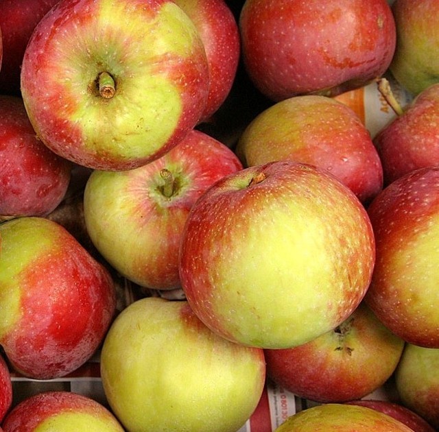 Jeden z projektów konferencji dotyczy jabłek i sadownictwa, eksportowego produktu regionu grójeckiego