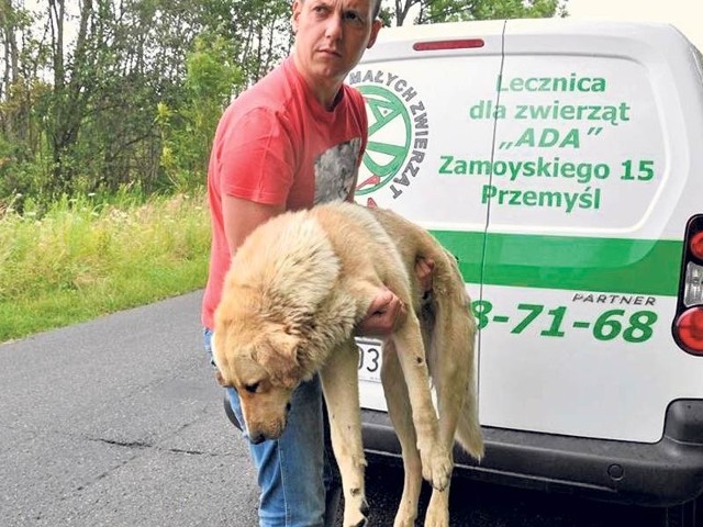 Wycieńczony i odwodniony pies trafił do lecznicy dla zwierząt Ada. Z rowu, w którym leżał Aki, zabrał go weterynarz Radosław Fedaczyński (na zdjęciu).