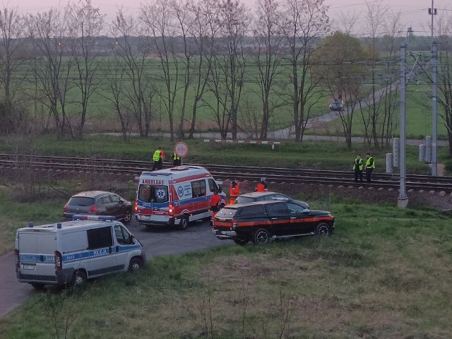 Pociąg relacji śmiertelnie potrącił pieszego z psem