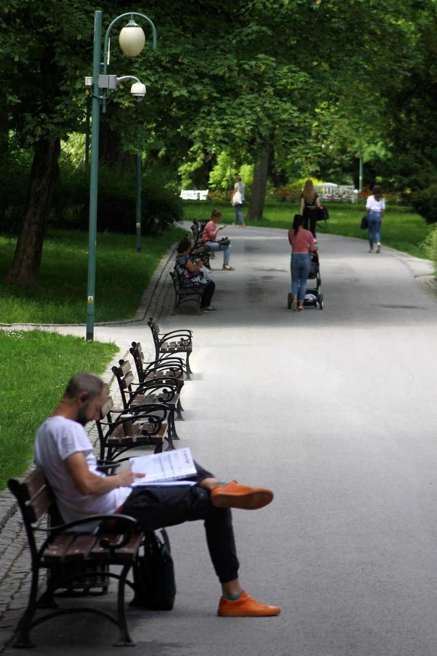 Ogród Saski w Lublinie. Wróciło słońce, lublinianie odpoczywają wśród drzew. Zobacz zdjęcia