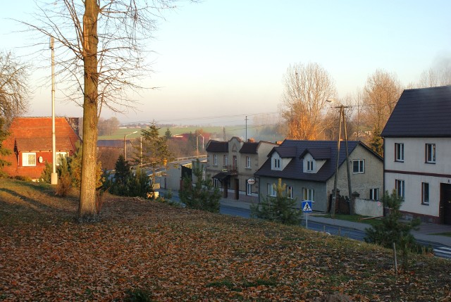 Droga krajowa nr 15 przebiega przez sam środek Kwieciszewa, podmogileńskiej wsi o miejskim charakterze zabudowy.