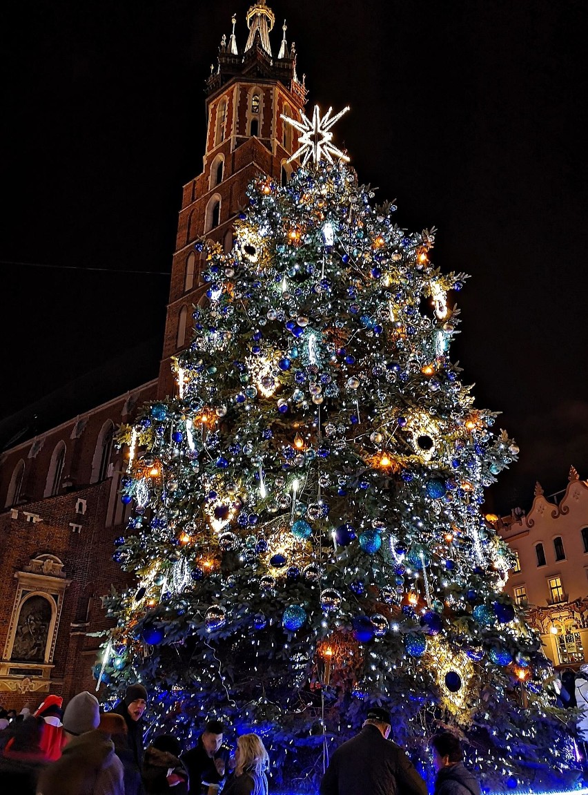 Kraków. Uroczyste włączenie iluminacji na bożonarodzeniowej choince na Rynku Głównym [ZDJĘCIA]