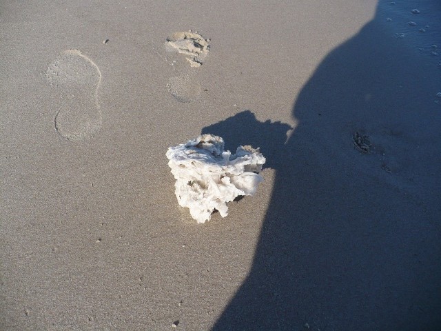 Białe bryły znaleziono m.in. na plaży w Dąbkach