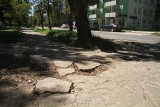 Remontują chodniki w Kielcach. Zobacz czy zrobią Twój [GALERIA]
