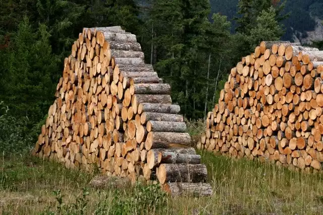 DrewnoDrewno jest nadal najczęściej stosowane, bo dosyć tanie.