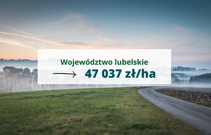 Średnia cena ziemi w województwie lubelskim w II kwartale...