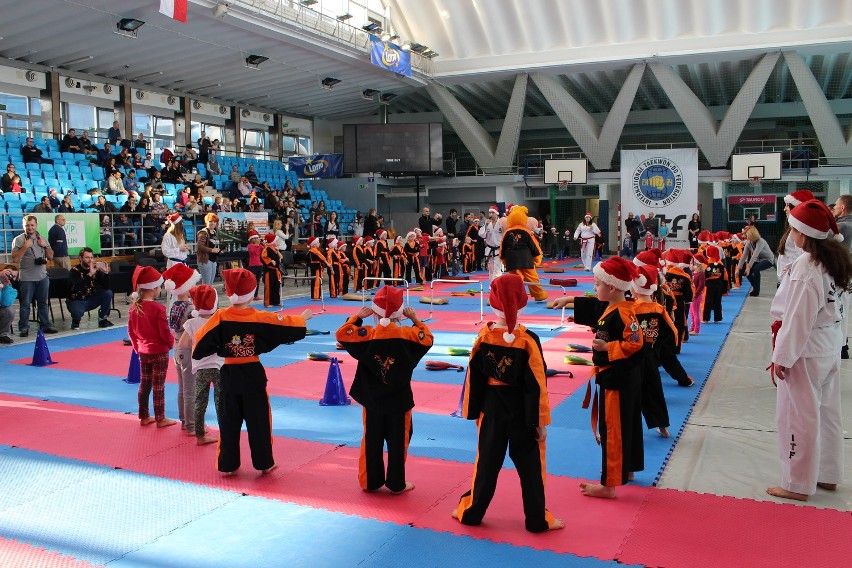 Lubelski Sportowy Klub Taekwon-Do zorganizował Dzień Tygrysa w Mikołajki