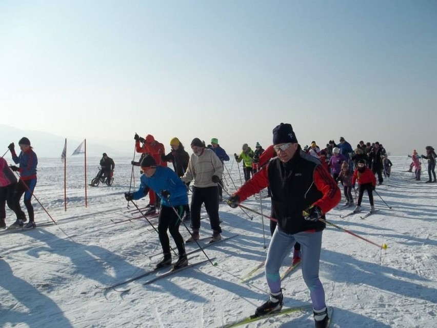 Coraz więcej osób biega na nartach. W Bielsku-Białej robią to na lotnisku [ZDJĘCIA]