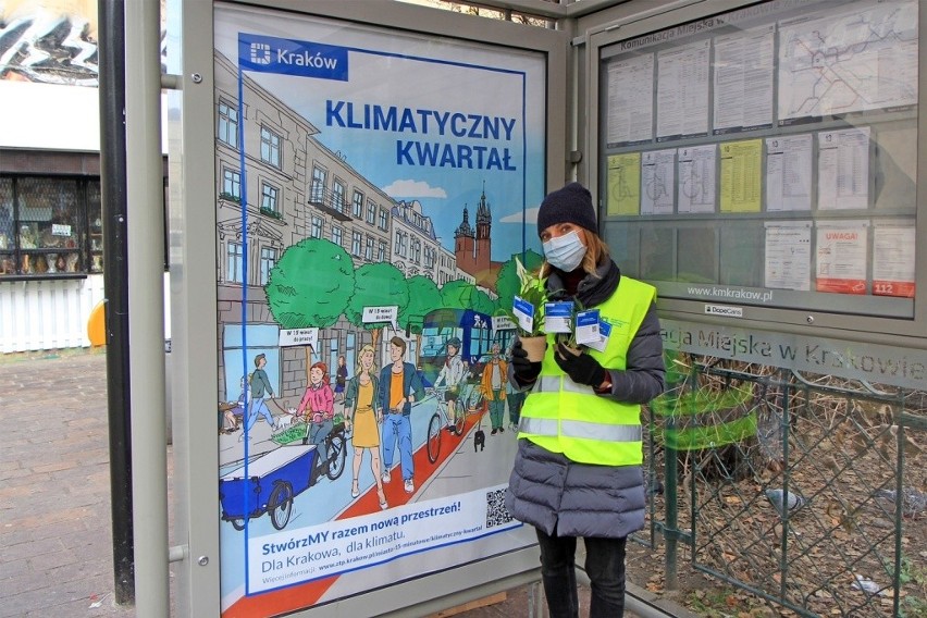 Kraków. Rozdali tysiąc sadzonek roślin dla klimatu