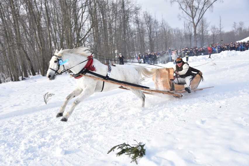 Parada Gazdowska 2019 - Biały Dunajec