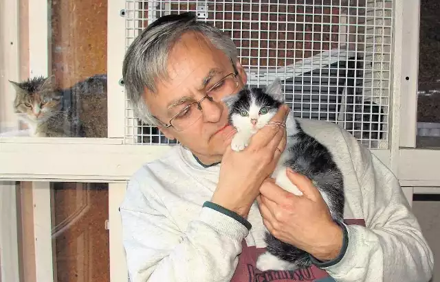 Kacperek jest jednym z pierwszych pacjentów szpitalika dla kotów. Przebywa tam razem z siostrą Oliwią. Dwumiesięczną kotkę czeka poważna operacja, ma złamaną miednicę i łapkę