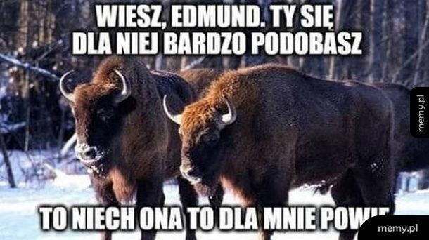 Sylwester na Podlasiu do gratka nawet dla gwiazd światowej...