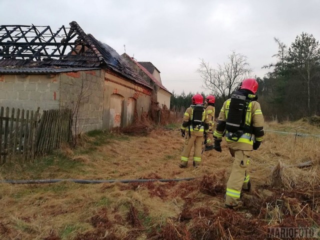 Przysiecz. Pożar samochodu w stodole. Strażacy bronili sąsiednich budynków