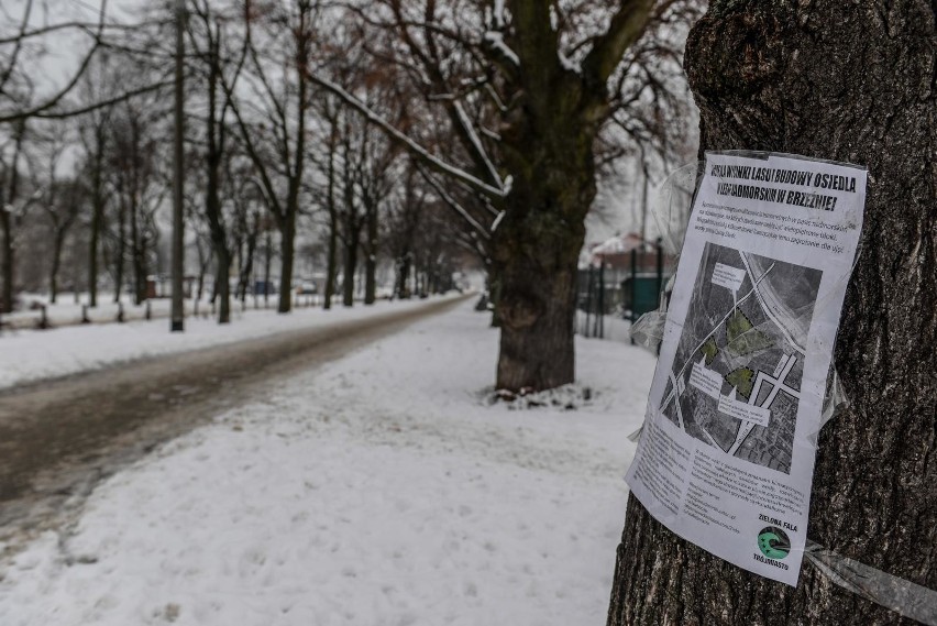 Wojewoda „za, a nawet przeciw” w sprawie Brzeźna. Przeprasza...