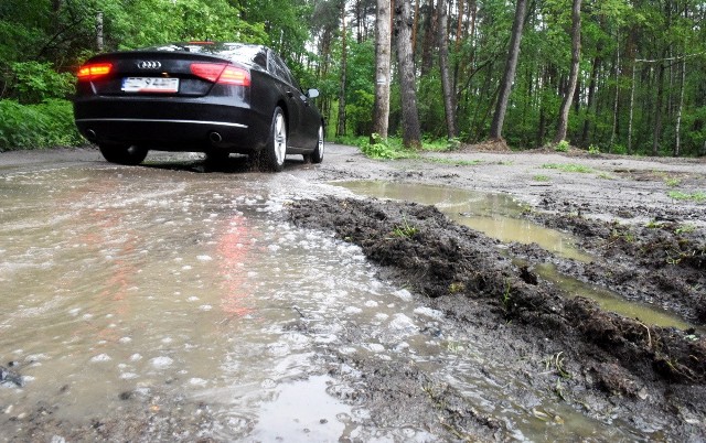 Zielona Góra. Mieszkańcy skarżą się na stan drogi gruntowej, którą dojeżdżają na ogródki działkowe.