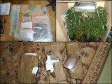 Zielonogórscy policjanci zlikwidowali siedzibę handlarzy narkotyków (zdjęcia)