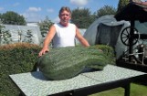 Gigantyczne warzywa rosną w Raciborzu. Na działce Piotra Holewy kabaczek waży 55 kilogramów, a ogórek ma 78 cm długości