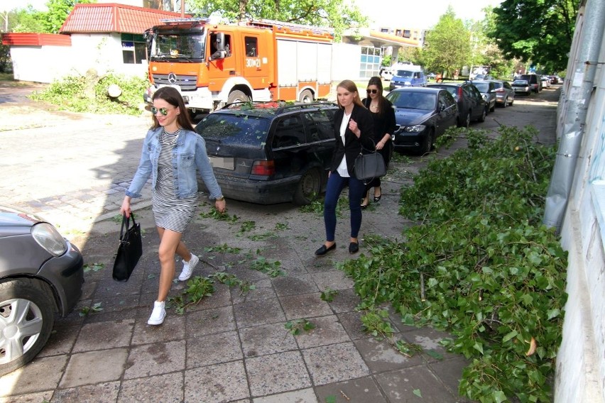 Burza nad Wrocławiem. Drzewo runęło na parkingu w centrum