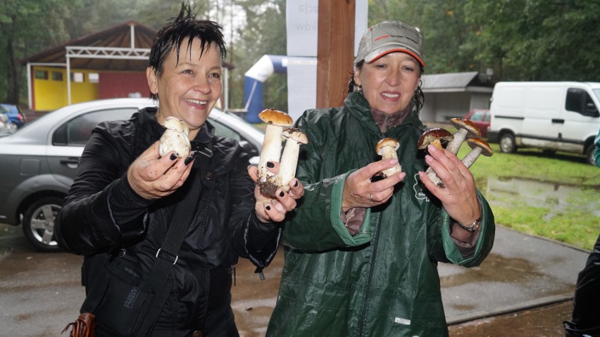 Mistrzostwa Śląska w grzybobraniu w Rybniku