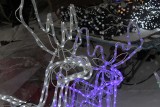 Choinki, lampki, bombki i inne ozdoby. Świąteczne klimaty na giełdzie w Miedzianej Górze w niedzielę, 11 grudnia. Zobacz zdjęcia 