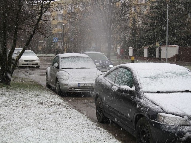 Zima wróciła do Kielc