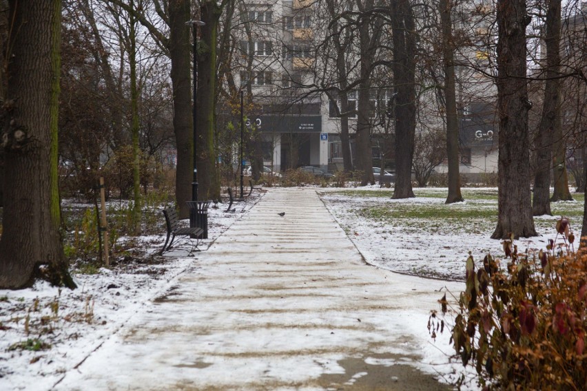 W parku Krakowskim ni to zima, ni jesień