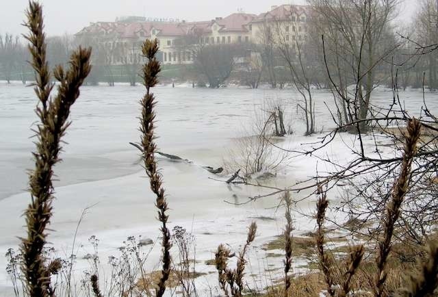 Port Drzewny doPort Drzewny - do tekstu o poszukiwaniach źródeł przez Rydzyka