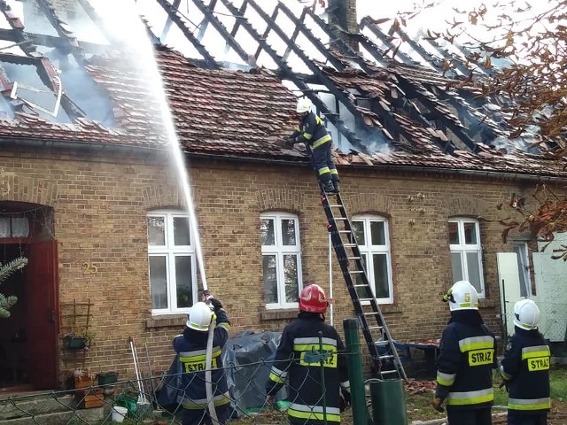 Strażacy otrzymali sygnał o pożarze domu w Podjeninie w sobotę, 20 października, przed godziną 15.00. Gdy zjawili się na miejscu, ogień obejmował już 75 proc. dachu.Z ogniem walczylo dziewięć jednostek straży pożarnej: OSP Bogdaniec, 2 zastępy OSP Witnica, 2 zastępy JRG1, 2 zastępy JRG2, zastęp OSP Lubczyno, zastęp OSP Lubiszyn cysterna.W budynku, w którym mieszkały cztery rodziny, spalił się cały dach. Zniszczenia są ogromne. Mieszkańcy stracili swój dobytek. Na szczęcie wszyscy w porę opuścili dom. Przyczynę pożaru wyjaśni śledztwo. źródło: OSP BogdaniecZobacz wideo: "Plastik się topił, spadał mi na głowę". 12-letni bohater uratował rodzinę z płomieni