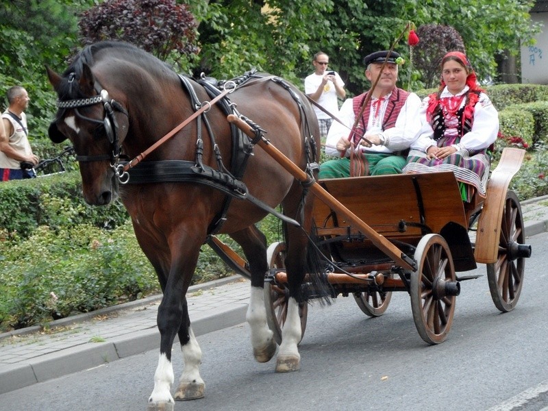 Przepiękne konie, piękne stroje i sportowa rywalizacja, a...