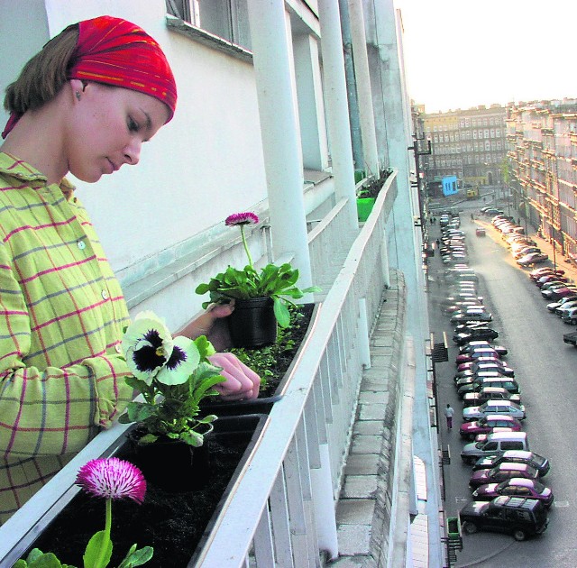 Nikt nie protestuje, gdy na balkonie zakładamy ładny ogródek