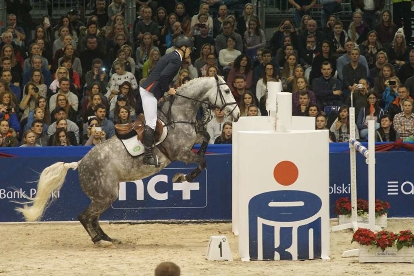 Cavaliada i potęga skoków na poznańskich targach