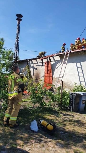 Pożar remizy w Węgrach w gminie Żórawina. Przyczynił się do...