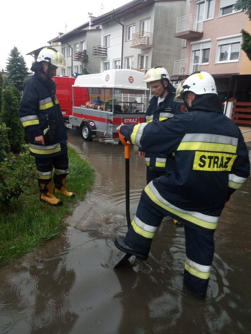 W poniedziałek strażacy z OSP Rzeszów-Zalesie zostali...