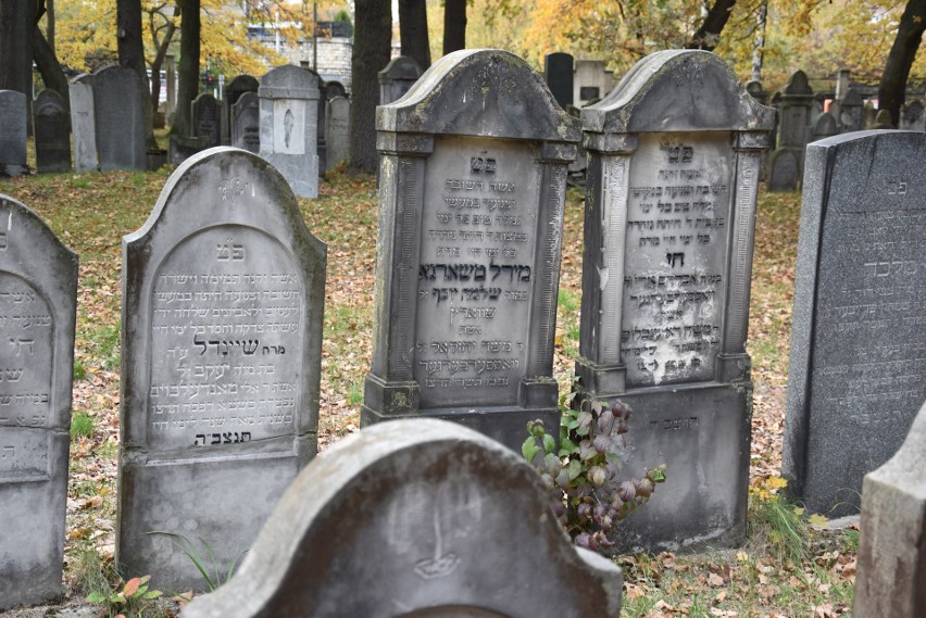 Chrzanów. Cmentarz pełen historii. Zobacz jakie tajemnice skrywa żydowska nekropolia