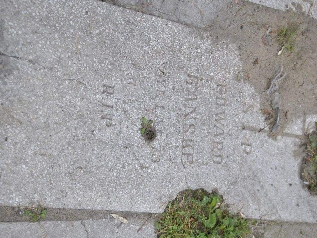 Fragmenty pomników (na niektórych widać epitafia) ujrzały światło dzienne po demontażu foliowych straganów