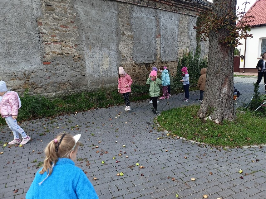 Powitanie jesieni w przedszkolu w Kurozwękach. Były muzyczne zabawy i ciekawe zadania - zobacz zdjęcia