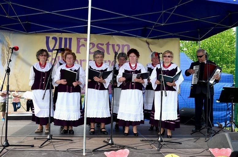 Festyn folklorystyczny w Dąbrowie Górniczej-Błędowie