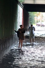 Wrocław sprząta po burzy. Magistrat: Nie wchodźcie do parków i na place zabaw (FILMY, ZDJĘCIA)