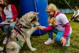 Gmina Dębica. IV Bieg na 6 łap z Fundacją Psi Azylek już za nami. Zobaczcie zdjęcia!